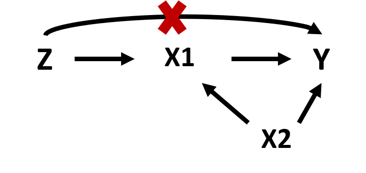 Figure 12. Instrumental variable model, path diagram
