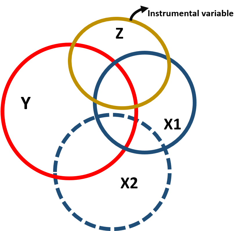 Figure 3. Instrumental variable modeal, covariance structure