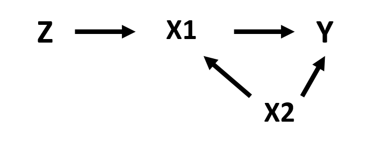 Figure 4. Path diagram of the instrumental variable model