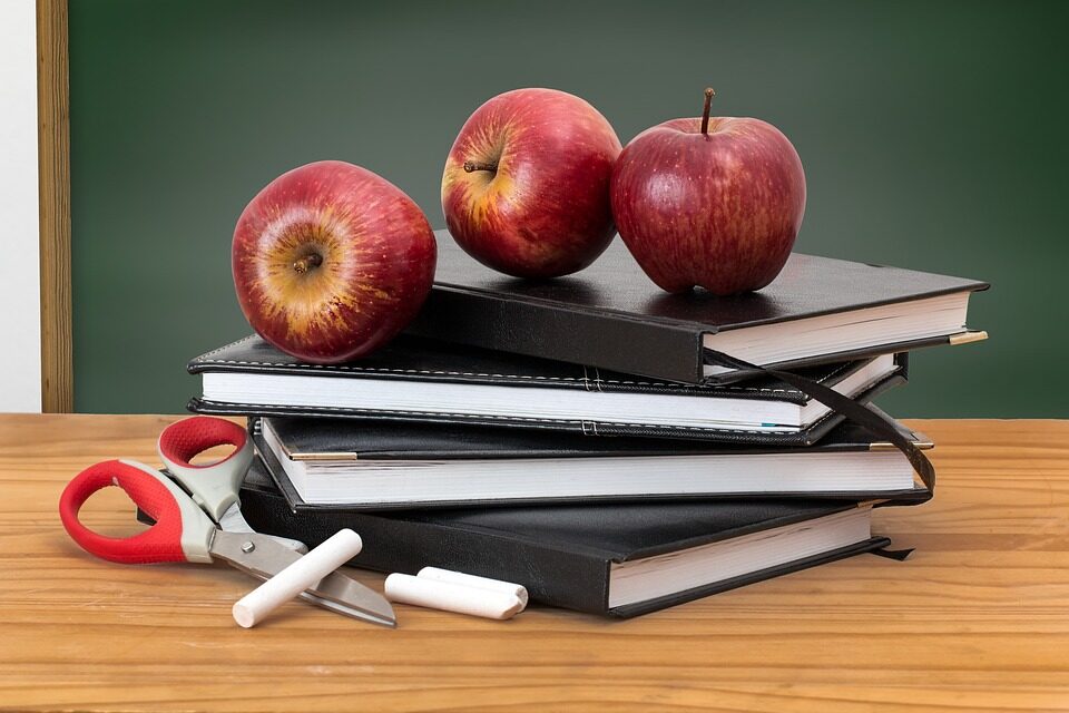 Figure 2. Source: https://pixabay.com/images/search/classroom/